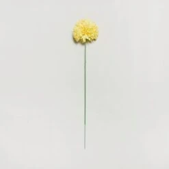 Dunelm Pack Of 12 Artificial Pompom Flower Yellow Stem 72cm -Cool Decoration 1000139958 alt02