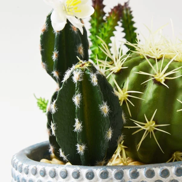 Dunelm Artificial Cactus Green In Textured Pot 19cm 4 Dunelm Artificial Cactus Green In Textured Pot 19cm - Image 2