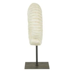 Dunelm Fossil Shell On Stand Sculpture 5 Dunelm Fossil Shell On Stand Sculpture -Cool Decoration 1000167621 alt01