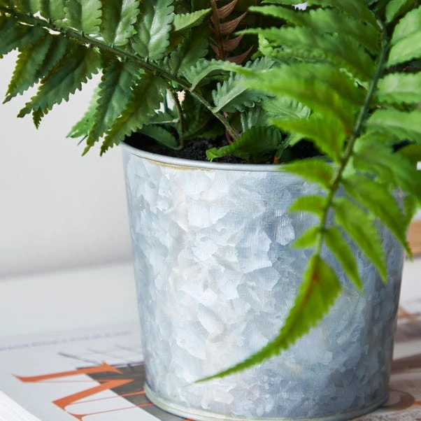 Dunelm Artificial Fern Green In Iron Pot 4 Dunelm Artificial Fern Green In Iron Pot - Image 2