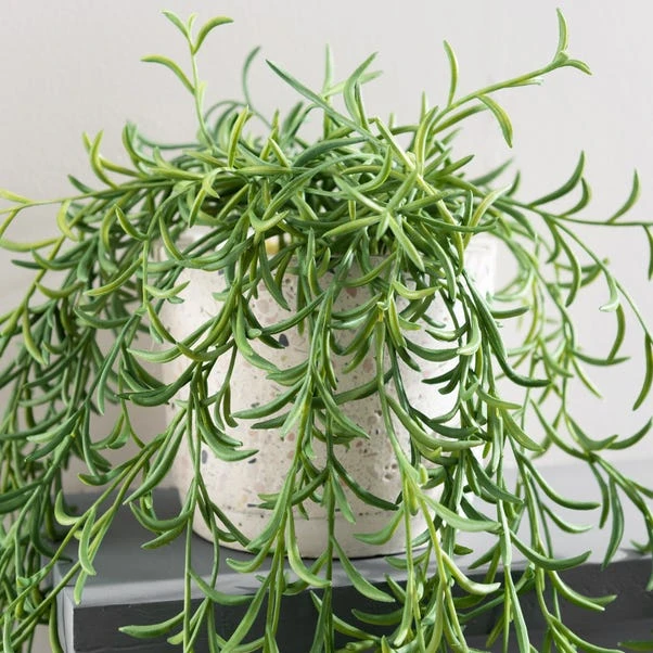 Dunelm Artificial Trailing Plant In Pot 4 Dunelm Artificial Trailing Plant In Pot - Image 2