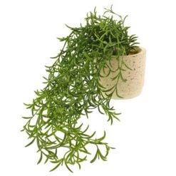 Dunelm Artificial Trailing Plant In Pot 7 Dunelm Artificial Trailing Plant In Pot -Cool Decoration 1000183136 alt02