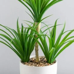Dunelm Artificial Yucca Plant In Ceramic Pot -Cool Decoration 1000183215 alt01