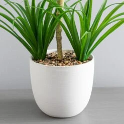 Dunelm Artificial Yucca Plant In Ceramic Pot -Cool Decoration 1000183215 alt02