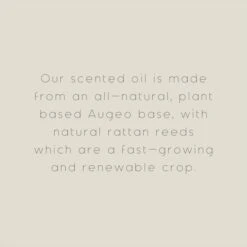 The Edited Life Wellness 200ml Oil Bergamot Reed Diffuser -Cool Decoration 1000183230 alt09