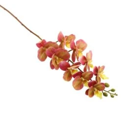 Dunelm Peach Real Touch Phalaenopsis 3 Pack -Cool Decoration 1000184161 alt02