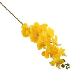 Dunelm Yellow Real Touch Phalaenopsis 3 Pack -Cool Decoration 1000184163 alt02