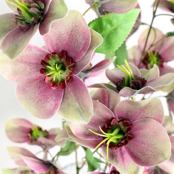 Dunelm Purple Real Touch Hellebore 3 Pack 4 Dunelm Purple Real Touch Hellebore 3 Pack - Image 2