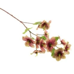 Dunelm Purple Real Touch Hellebore 3 Pack 7 Dunelm Purple Real Touch Hellebore 3 Pack -Cool Decoration 1000184173 alt02