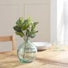 Dunelm Fittonia Green Bundle 30cm -Cool Decoration 30632047