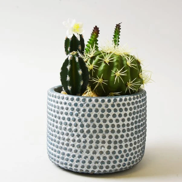Dunelm Artificial Cactus Green In Textured Pot 19cm 3 Dunelm Artificial Cactus Green In Textured Pot 19cm