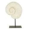 Dunelm Fossil Shell On Stand Sculpture 2 Dunelm Fossil Shell On Stand Sculpture -Cool Decoration 30692935