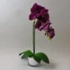 Dunelm Purple Orchid In Silver Glass Pot 48cm 1 Dunelm Purple Orchid In Silver Glass Pot 48cm -Cool Decoration 30705042
