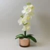 Dunelm Cream Orchid In Gold Glass Pot 40cm -Cool Decoration 30705045