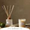 The Edited Life Wellness 200ml Oil Bergamot Reed Diffuser