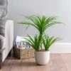 Dunelm Artificial Yucca Plant In Ceramic Pot -Cool Decoration 30717966