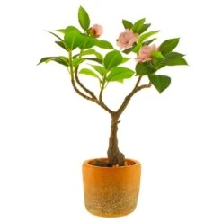 Dunelm Camellia Tree In Terracotta Planter 40cm -Cool Decoration 30724532 alt04