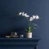 Dunelm Cream Orchid In Cement Pot 2 Dunelm Cream Orchid In Cement Pot -Cool Decoration 30724535