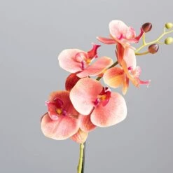 Dunelm Pink Orchid In Ceramic Pot 50cm -Cool Decoration 30724538 alt01