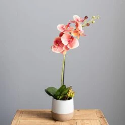 Dunelm Pink Orchid In Ceramic Pot 50cm -Cool Decoration 30724538 alt03