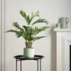 Dunelm Artificial Real Touch Areca Palm Tree 70cm -Cool Decoration 30724993
