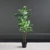 Dunelm Artificial Variagated Triple Stem Rubber Tree 97cm -Cool Decoration 30725000