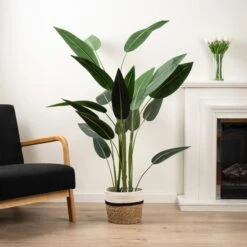 Dunelm Artificial Bird Of Paradise Tree 160cm