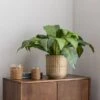 Dunelm Tropical Leaf In Bamboo Basket 1 Dunelm Tropical Leaf In Bamboo Basket -Cool Decoration 30726491