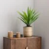 Dunelm Dracaena In Bamboo Basket -Cool Decoration 30726493