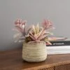 Dunelm Churchgate Artificial Flocked Succulent Garden -Cool Decoration 30730202