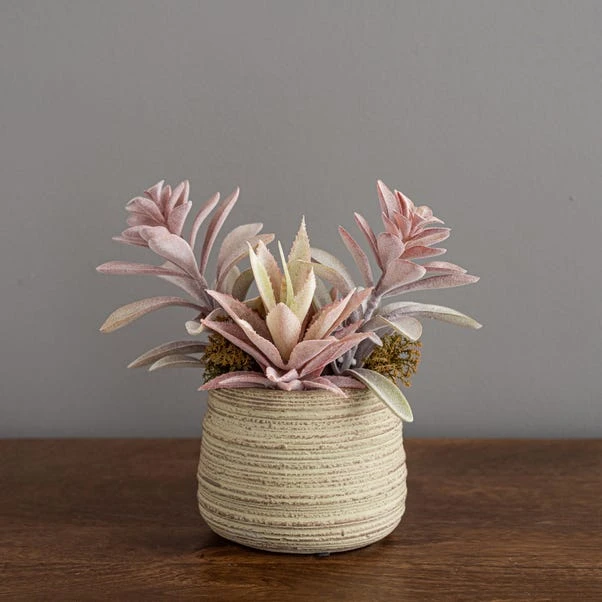 Dunelm Churchgate Artificial Flocked Succulent Garden 5 Dunelm Churchgate Artificial Flocked Succulent Garden - Image 3