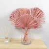 Dunelm Dried Pink Sun Spear Bundle -Cool Decoration 30730254