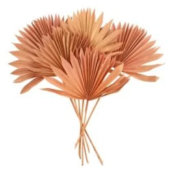 Dunelm Dried Pink Sun Spear Bundle -Cool Decoration 30730254 alt02