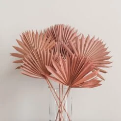 Dunelm Dried Pink Sun Spear Bundle -Cool Decoration 30730254 alt03