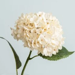 Dunelm Hydrangea Cream Stem 8 Dunelm Hydrangea Cream Stem -Cool Decoration 30730259 alt01