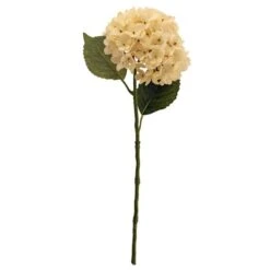 Dunelm Hydrangea Cream Stem 11 Dunelm Hydrangea Cream Stem -Cool Decoration 30730259 alt04