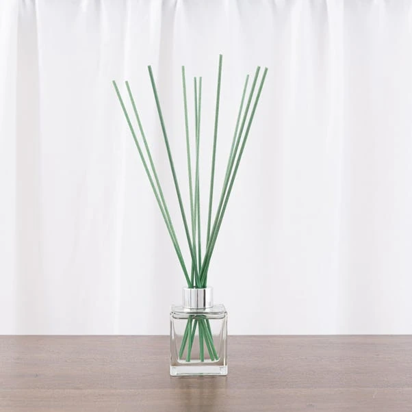 Dunelm Pack Of 10 Teal Fibre Reeds 4 Dunelm Pack Of 10 Teal Fibre Reeds - Image 2
