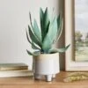 Dunelm Coastal Aloe Vera In Ceramic Pot 2 Dunelm Coastal Aloe Vera In Ceramic Pot -Cool Decoration 30732424
