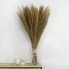 Dunelm Dried Broom Grass Natural 100cm -Cool Decoration 30734785