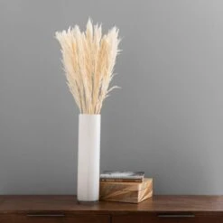 Dunelm Pack Of 12 Dried Bleached Nanal Bundle