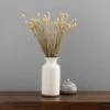 Dunelm Natural Dried Phalaris Bundle 1 Dunelm Natural Dried Phalaris Bundle -Cool Decoration 30747114