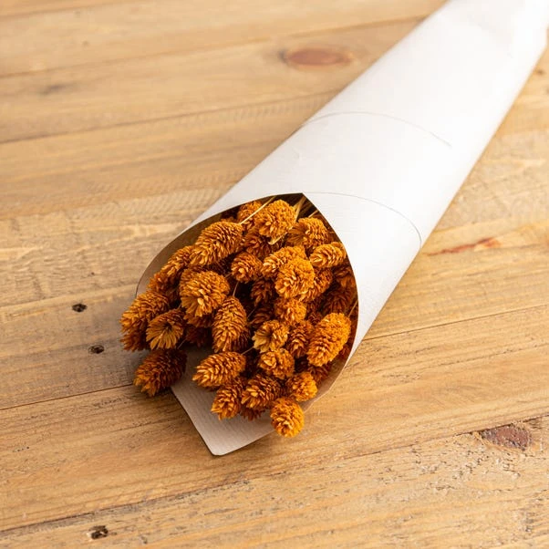 Dunelm Dried Ochre Phalaris Bundle 4 Dunelm Dried Ochre Phalaris Bundle - Image 2