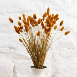 Dunelm Dried Ochre Phalaris Bundle 12 Dunelm Dried Ochre Phalaris Bundle -Cool Decoration 30747117 alt04