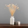 Dunelm Dried Pink Phalaris Bundle 2 Dunelm Dried Pink Phalaris Bundle -Cool Decoration 30747118