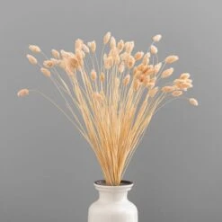 Dunelm Dried Pink Phalaris Bundle -Cool Decoration 30747118 alt03