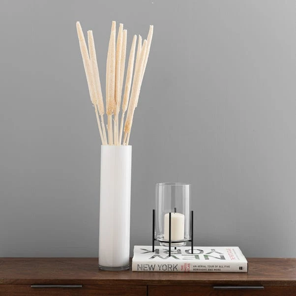 Dunelm 10 Dried Babala Stems Bleached Bundle 3 Dunelm 10 Dried Babala Stems Bleached Bundle