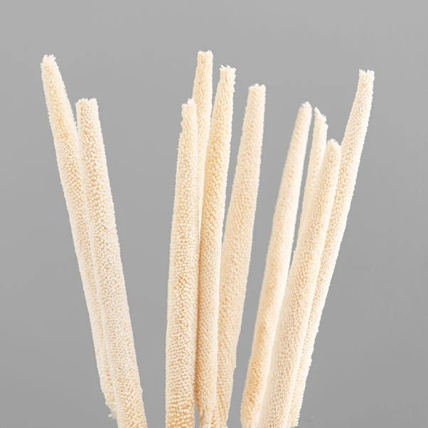 Dunelm 10 Dried Babala Stems Bleached Bundle 5 Dunelm 10 Dried Babala Stems Bleached Bundle - Image 3