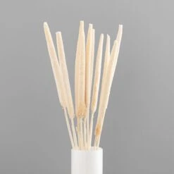 Dunelm 10 Dried Babala Stems Bleached Bundle 10 Dunelm 10 Dried Babala Stems Bleached Bundle -Cool Decoration 30747119 alt03