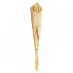 Dunelm 10 Dried Babala Stems Bleached Bundle 11 Dunelm 10 Dried Babala Stems Bleached Bundle -Cool Decoration 30747119 alt04