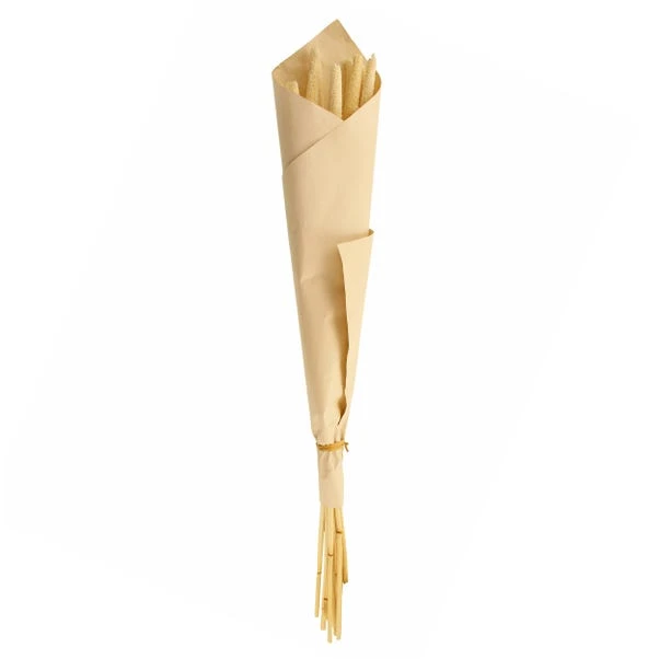 Dunelm 10 Dried Babala Stems Bleached Bundle 7 Dunelm 10 Dried Babala Stems Bleached Bundle - Image 5